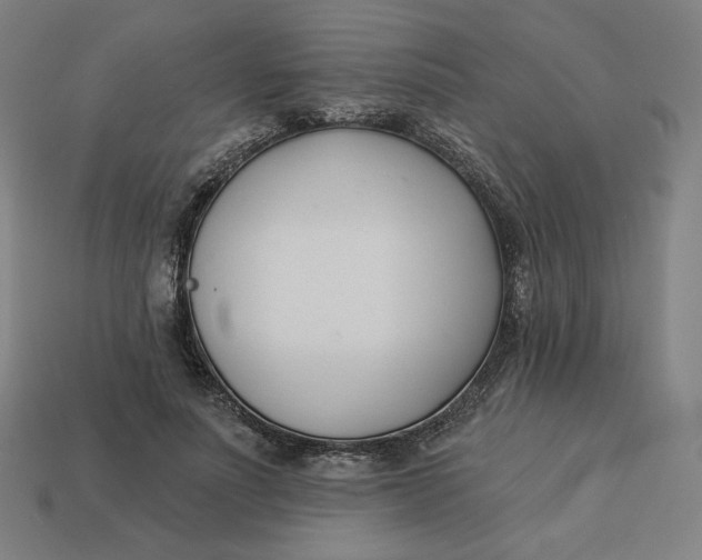 X0000113360691200910061040