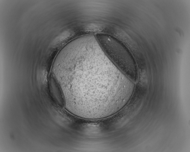 X0000113360692200910061040