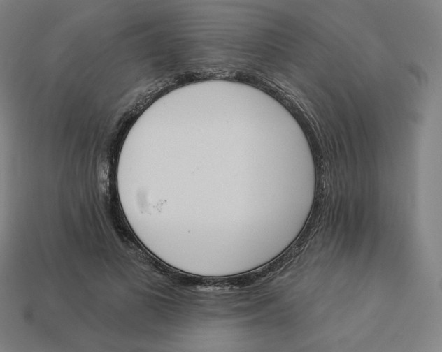 X0000113360693200910061040