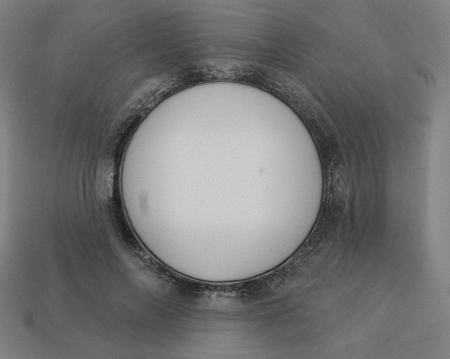 X0000113360694200910061040