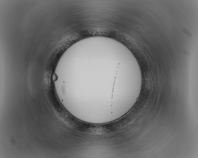 X0000113360695200910061040