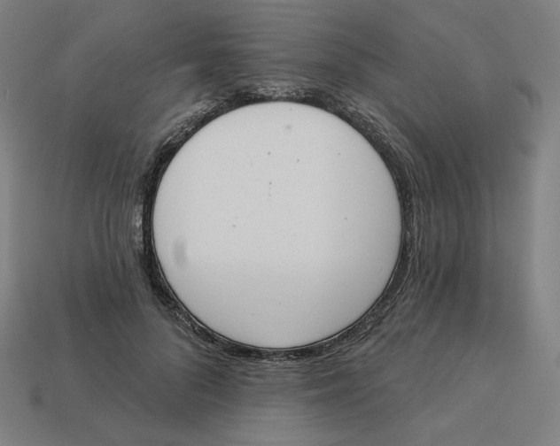 X0000113360696200910061040