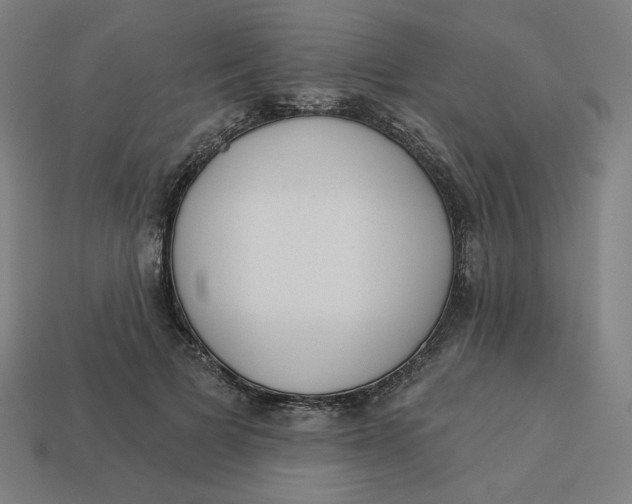 X0000113360697200910061040