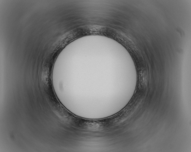 X0000113360698200910061040