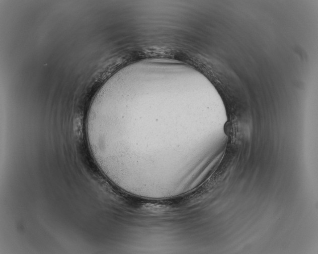 X0000113360699200910061040