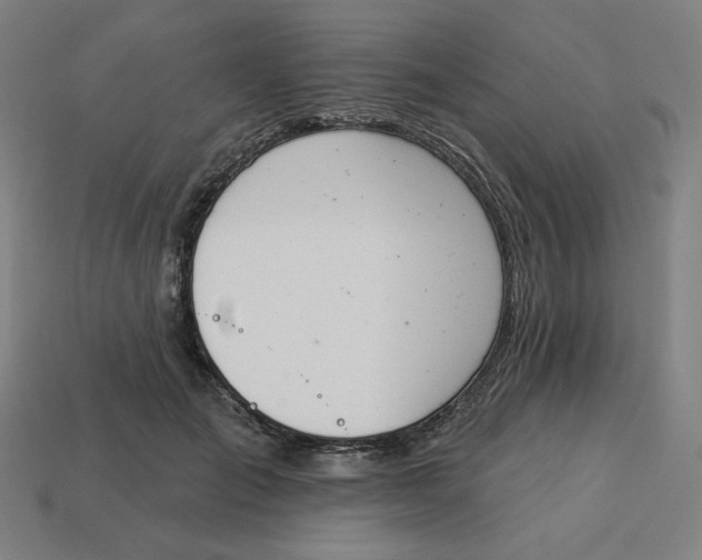 X0000113360701200910061040