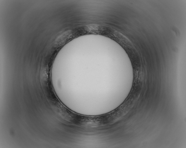 X0000113360702200910061040