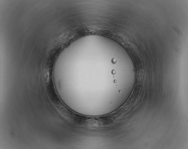 X0000113360703200910061040