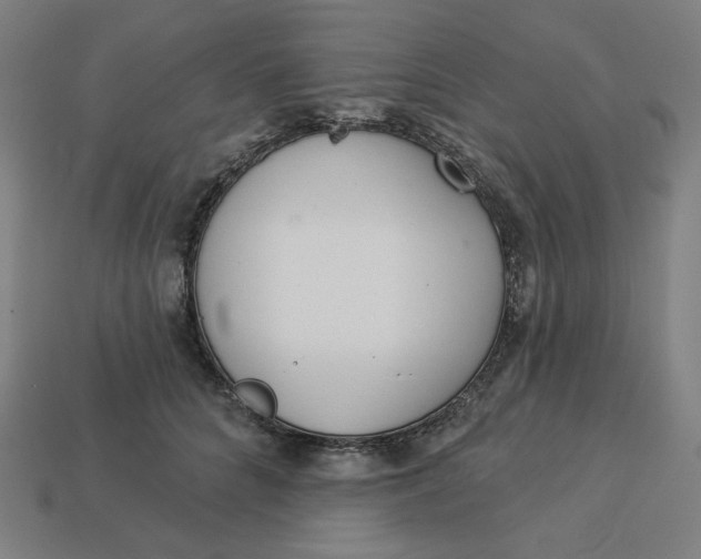 X0000113360704200910061040