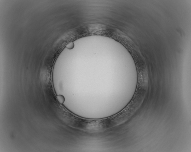 X0000113360705200910061040