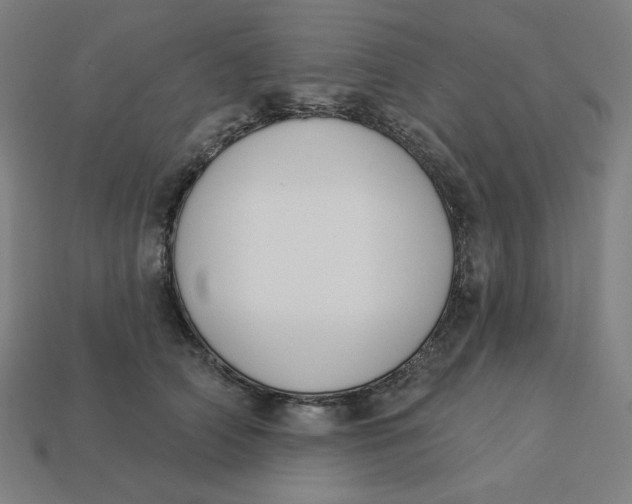 X0000113360706200910061040