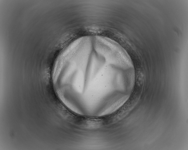 X0000113360707200910061040