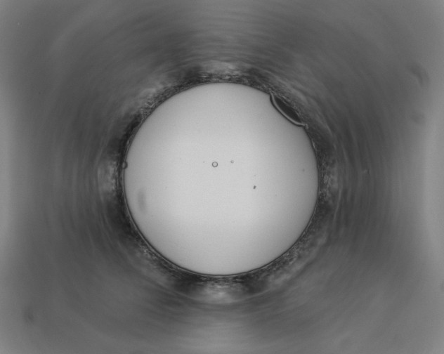 X0000113360708200910061040