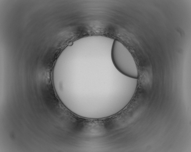 X0000113360709200910061040