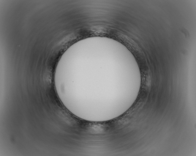 X0000113360710200910061040