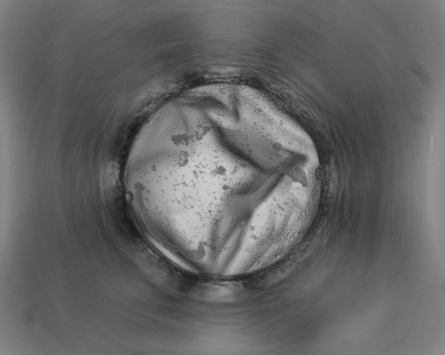 X0000113360711200910061040