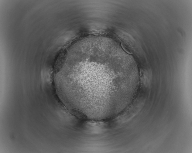 X0000113360712200910061040