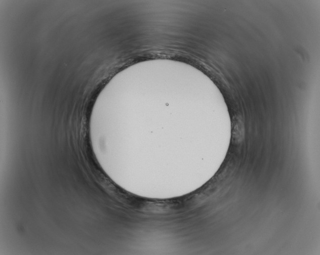 X0000113360713200910061040