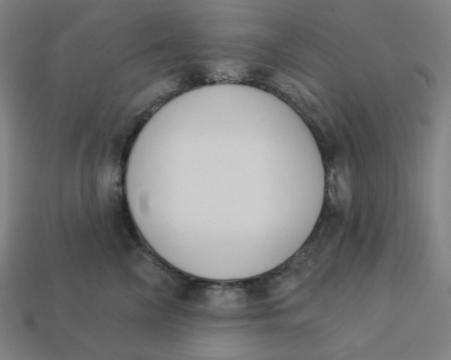 X0000113360714200910061040