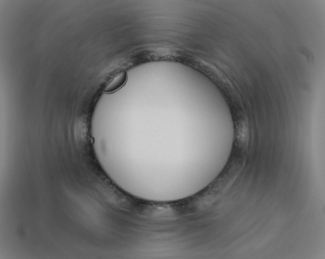 X0000113360715200910061040