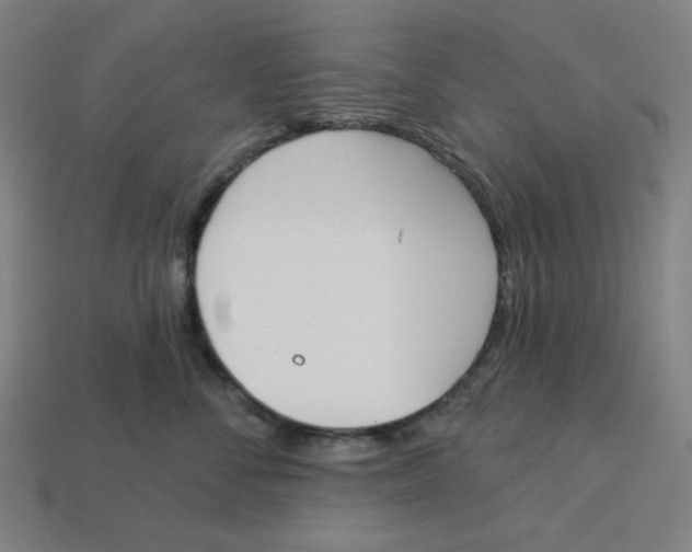 X0000113360716200910061040