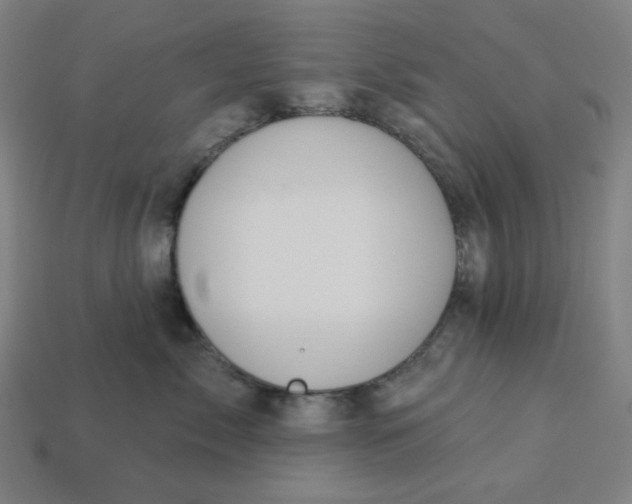 X0000113360717200910061040