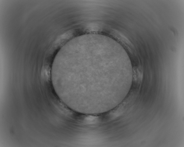 X0000113360718200910061040