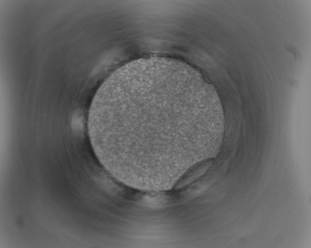 X0000113360720200910061040