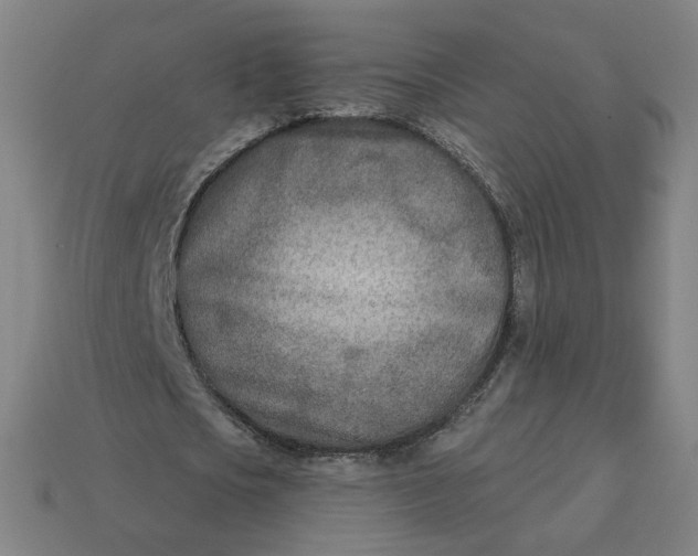 X0000113360721200910061039