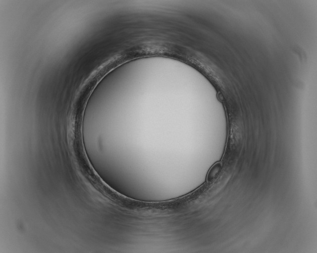 X0000113360722200910061039