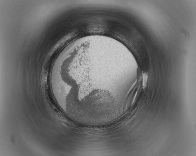 X0000113360723200910061039