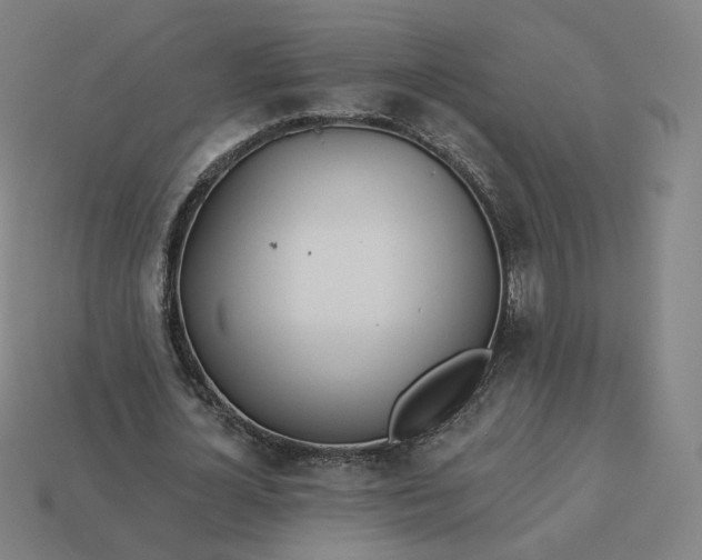 X0000113360724200910061039