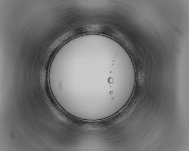 X0000113360725200910061039