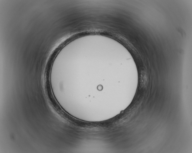 X0000113360726200910061039