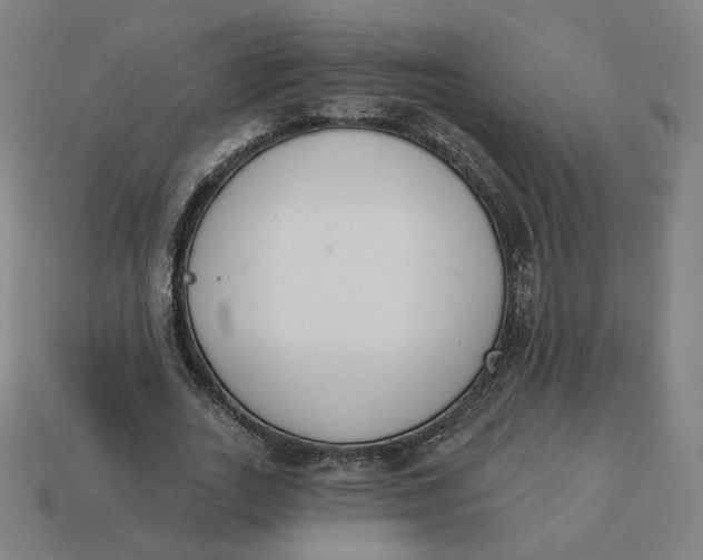 X0000113360727200910061039