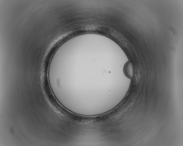 X0000113360728200910061039