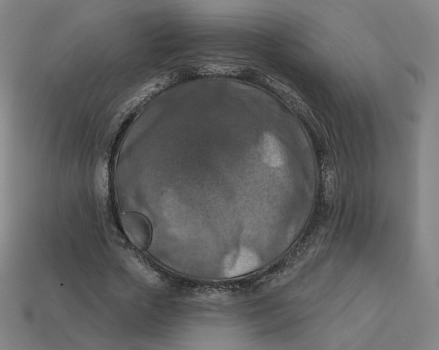 X0000113360729200910061039