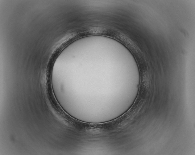 X0000113360730200910061039