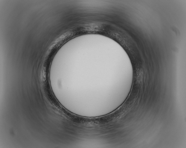 X0000113360731200910061039