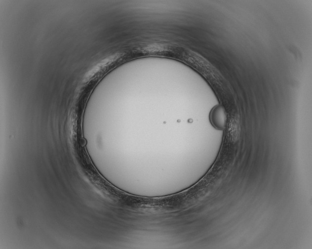 X0000113360732200910061039