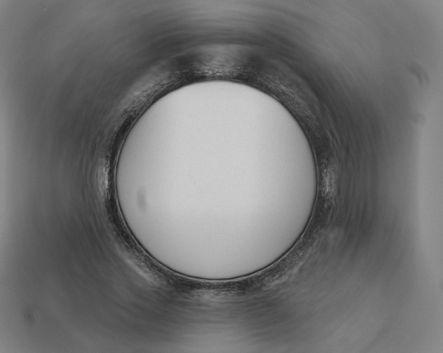 X0000113360733200910061039