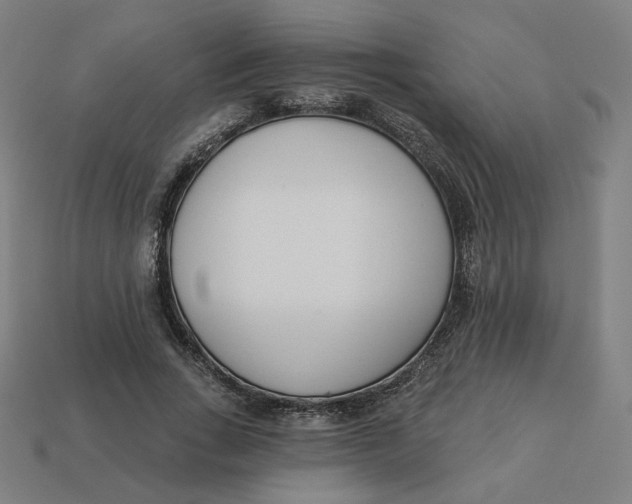 X0000113360735200910061039