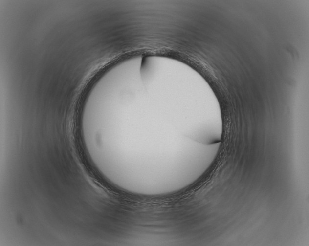 X0000113360736200910061039