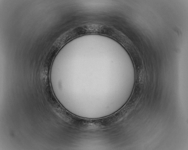 X0000113360737200910061039