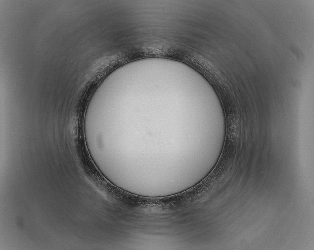 X0000113360738200910061039