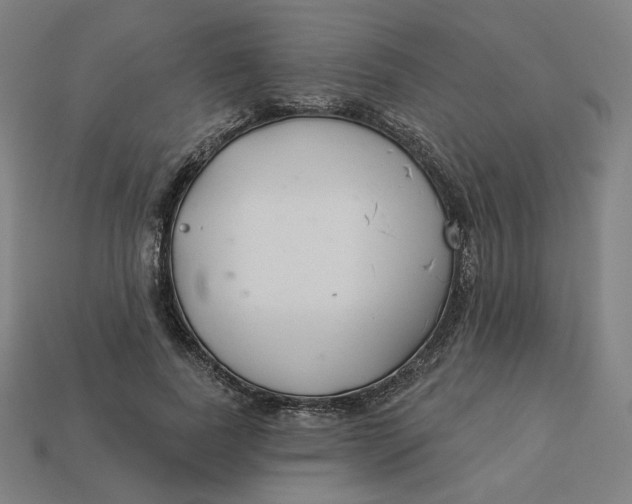 X0000113360739200910061039