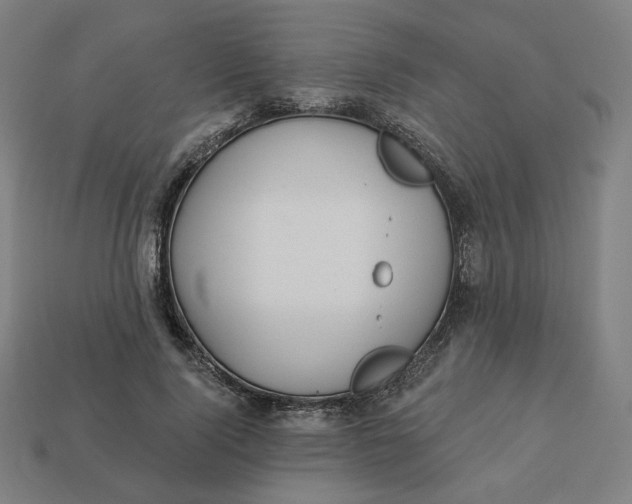 X0000113360740200910061039