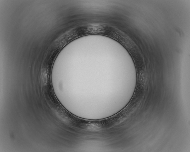 X0000113360741200910061039