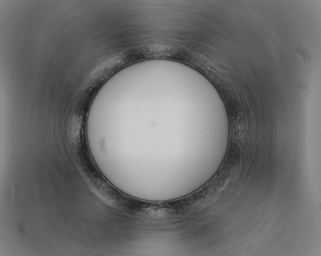 X0000113360742200910061040