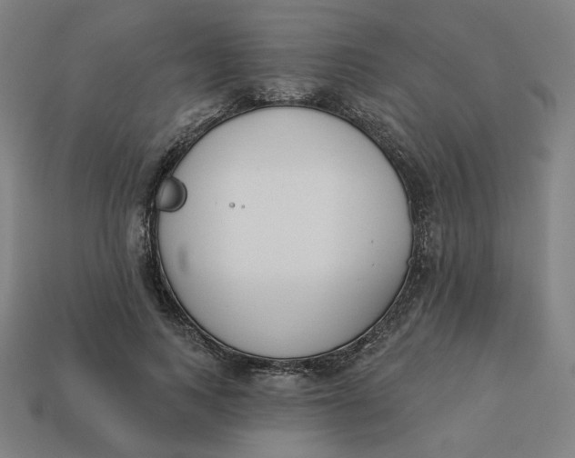 X0000113360743200910061040